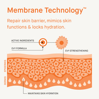 Daily Repair Mousse – 100ml